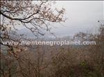 [HyperLink_image]